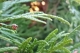 IMG-20241025-WA0009