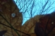 IMG-20241025-WA0037