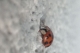 image000000