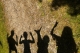 zadanie-plenerowe-cienie-postaci-Fot.-MM