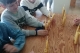 348380701_699967351808823_7895538020054171318_n
